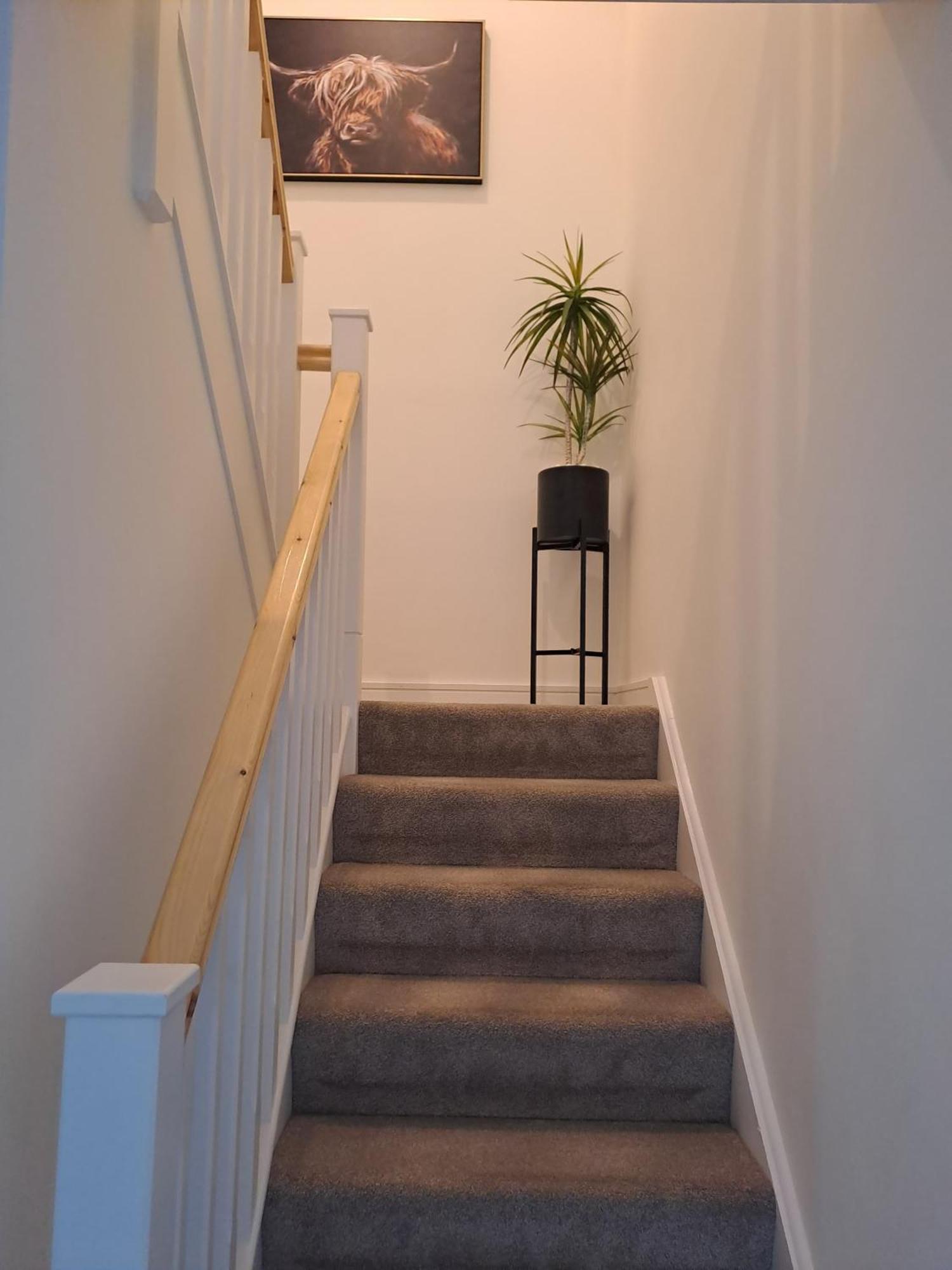 Cozy Bedroom In Lucan, Δουβλίνο Εξωτερικό φωτογραφία